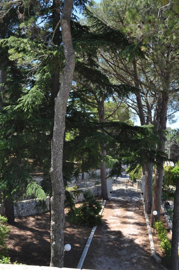 B&B Villa Rosanna ファザーノ エクステリア 写真