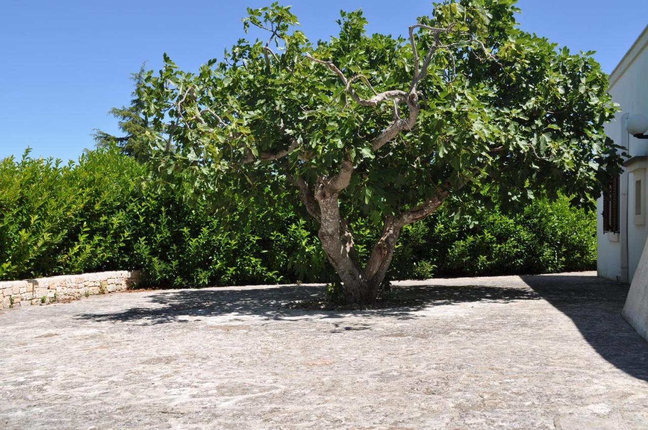 B&B Villa Rosanna ファザーノ エクステリア 写真